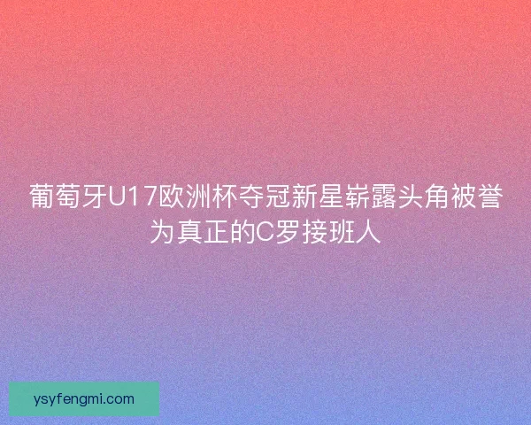 葡萄牙U17欧洲杯夺冠新星崭露头角被誉为真正的C罗接班人