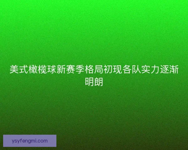 美式橄榄球新赛季格局初现各队实力逐渐明朗