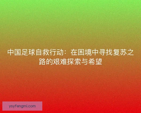 中国足球自救行动：在困境中寻找复苏之路的艰难探索与希望