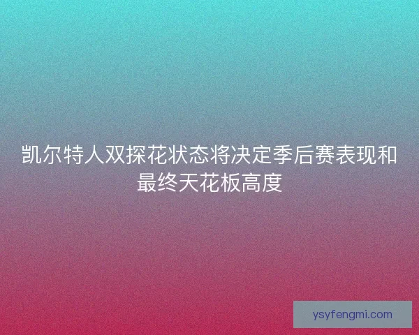 凯尔特人双探花状态将决定季后赛表现和最终天花板高度 凯尔特人双探花状态将决定季后赛表现和最终天花板高度